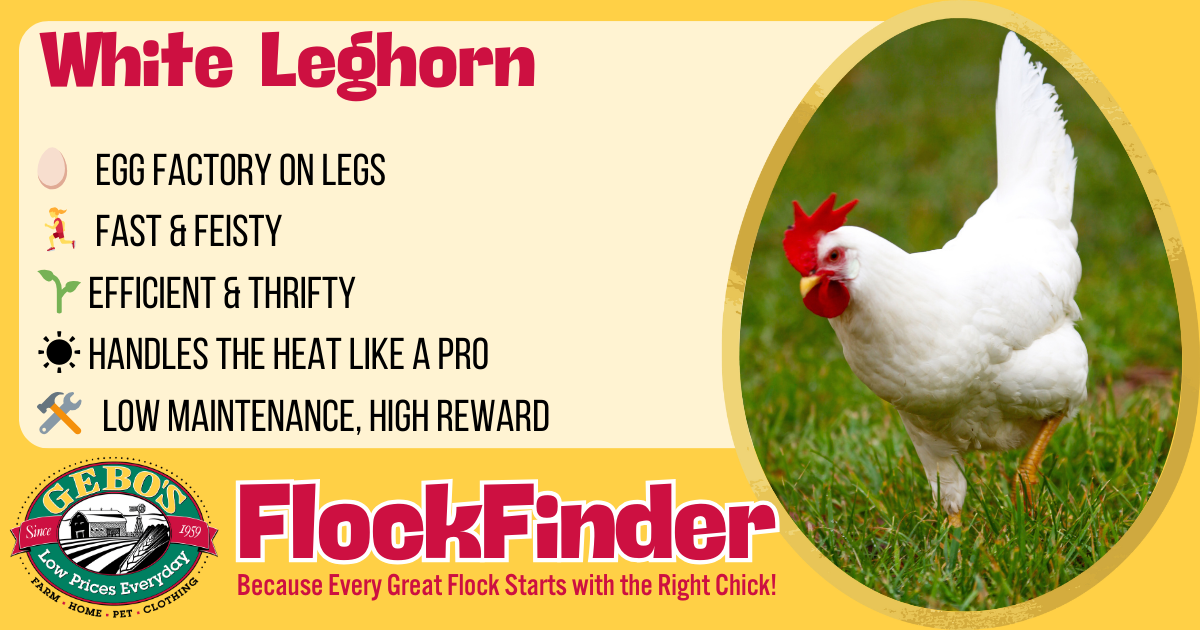 FlockFinder - White Leghorn - Gebo's