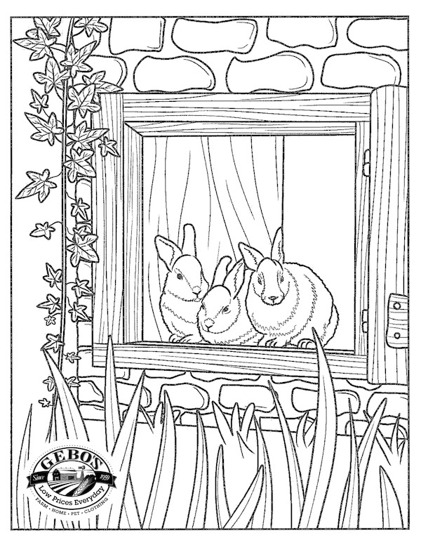 Coloring Contest - Gebo's