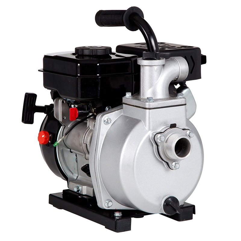 Franklin Electric 2.4 HP Aluminum Transfer Pump - Gebo's