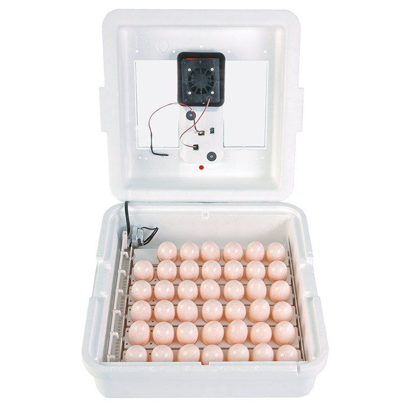 little giant 9300 incubator