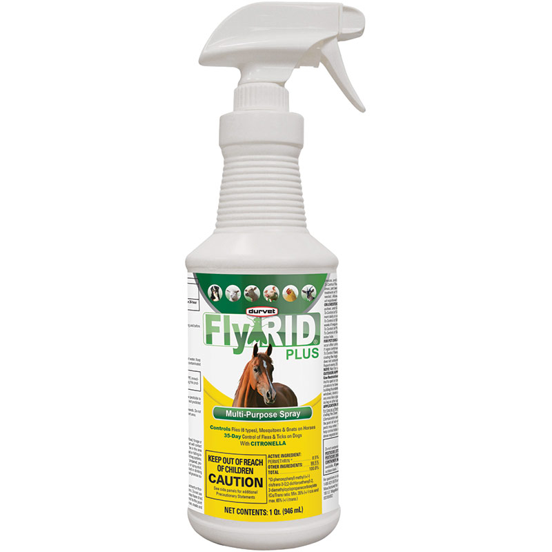 Spray for flies store on dogs