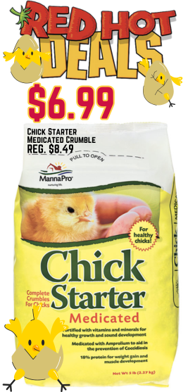 CHICK 3